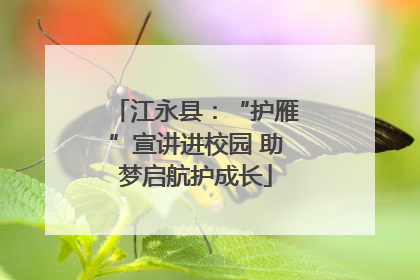 江永县：“护雁”宣讲进校园 助梦启航护成长