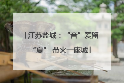 江苏盐城：“音”爱留“夏” 带火一座城
