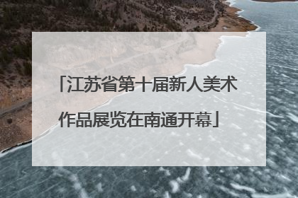 江苏省第十届新人美术作品展览在南通开幕