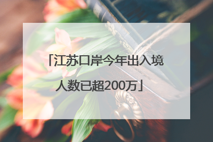 江苏口岸今年出入境人数已超200万
