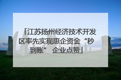 江苏扬州经济技术开发区率先实现惠企资金“秒到账” 企业点赞