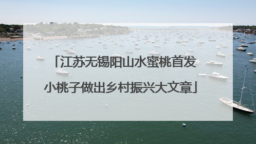 江苏无锡阳山水蜜桃首发 小桃子做出乡村振兴大文章
