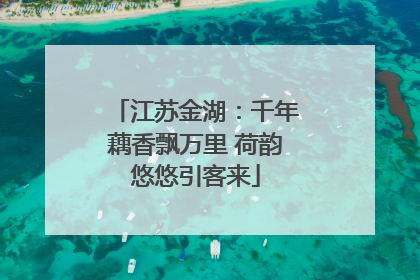 江苏金湖：千年藕香飘万里 荷韵悠悠引客来