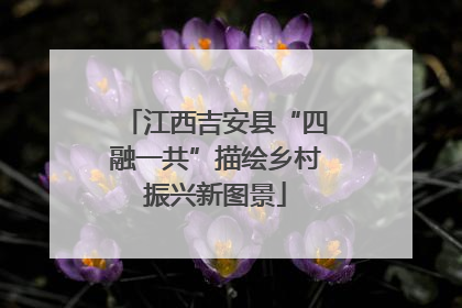 江西吉安县“四融一共”描绘乡村振兴新图景