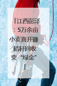 江西彭泽：5万余亩小麦喜开镰 秸秆回收变“绿金”
