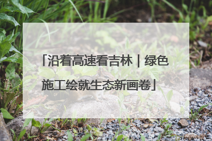 沿着高速看吉林｜绿色施工绘就生态新画卷