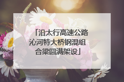 沿太行高速公路沁河特大桥钢混组合梁圆满架设