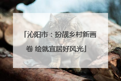 沁阳市：扮靓乡村新画卷 绘就宜居好风光