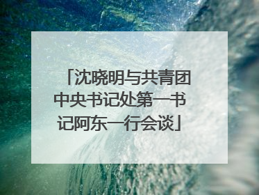 沈晓明与共青团中央书记处第一书记阿东一行会谈