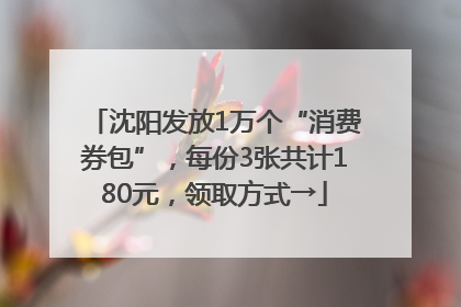 沈阳发放1万个“消费券包”，每份3张共计180元，领取方式→