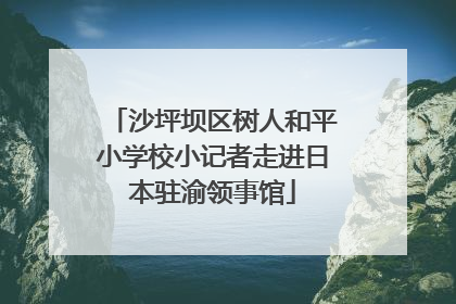 沙坪坝区树人和平小学校小记者走进日本驻渝领事馆