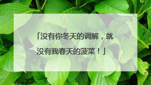 没有你冬天的调解，就没有我春天的菠菜！