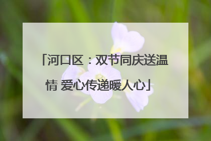 河口区：双节同庆送温情 爱心传递暖人心