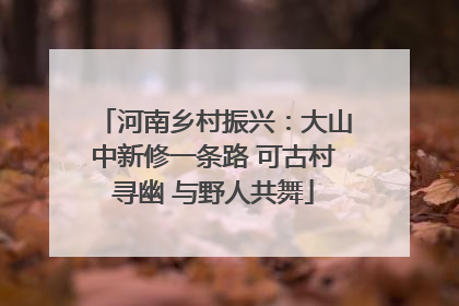 河南乡村振兴：大山中新修一条路 可古村寻幽 与野人共舞