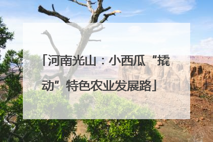河南光山：小西瓜“撬动”特色农业发展路
