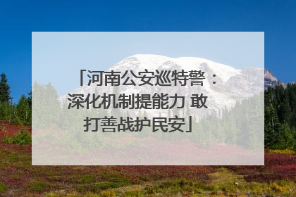 河南公安巡特警：深化机制提能力 敢打善战护民安
