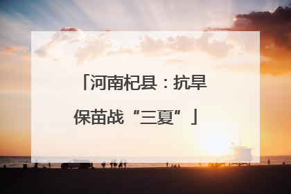 河南杞县：抗旱保苗战“三夏”