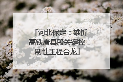 河北保定：雄忻高铁唐县段关键控制性工程合龙