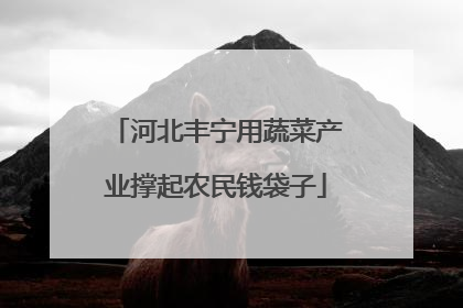 河北丰宁用蔬菜产业撑起农民钱袋子