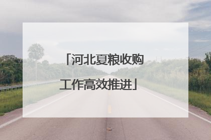 河北夏粮收购工作高效推进