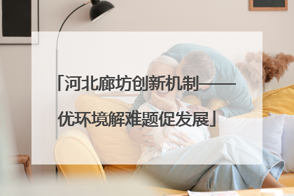 河北廊坊创新机制——优环境解难题促发展