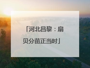 河北昌黎：扇贝分苗正当时