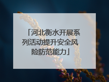 河北衡水开展系列活动提升安全风险防范能力