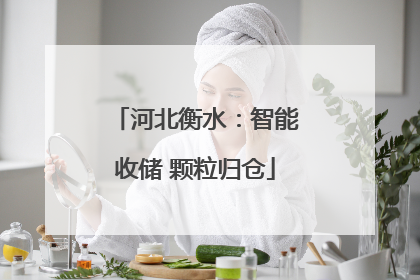 河北衡水：智能收储 颗粒归仓