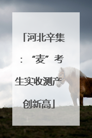 河北辛集：“麦”考生实收测产创新高