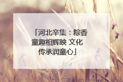 河北辛集：粽香童趣相辉映 文化传承润童心