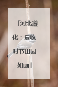 河北遵化：夏收时节田园如画