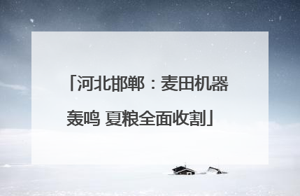 河北邯郸：麦田机器轰鸣 夏粮全面收割