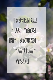 河北邱县：从“面对面”办理到“肩并肩”帮办