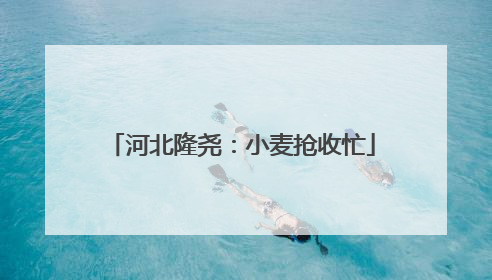 河北隆尧：小麦抢收忙