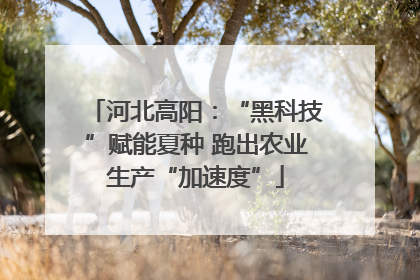 河北高阳：“黑科技”赋能夏种 跑出农业生产“加速度”