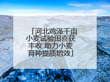 河北鸡泽千亩小麦试验田喜获丰收 助力小麦育种提质增效