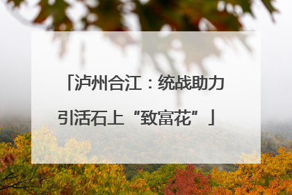 泸州合江：统战助力引活石上“致富花”