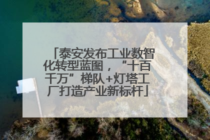 泰安发布工业数智化转型蓝图，“十百千万”梯队+灯塔工厂打造产业新标杆