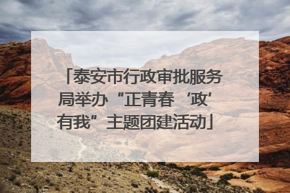 泰安市行政审批服务局举办“正青春‘政’有我”主题团建活动