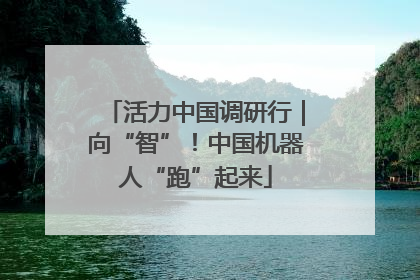 活力中国调研行｜向“智”！中国机器人“跑”起来