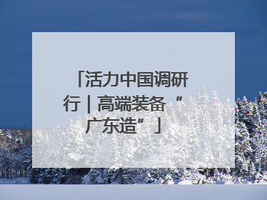 活力中国调研行｜高端装备“广东造”