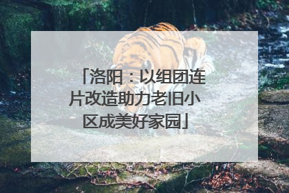 洛阳：以组团连片改造助力老旧小区成美好家园