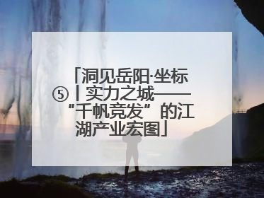 洞见岳阳·坐标⑤丨实力之城——“千帆竞发”的江湖产业宏图