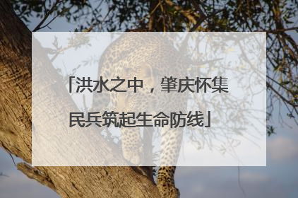 洪水之中，肇庆怀集民兵筑起生命防线