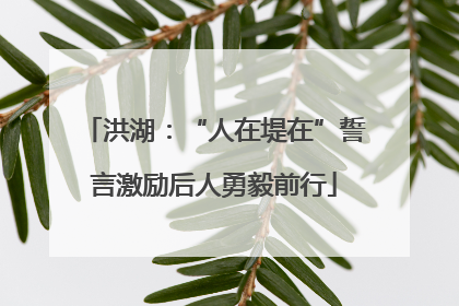 洪湖：“人在堤在”誓言激励后人勇毅前行