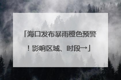 海口发布暴雨橙色预警！影响区域、时段→