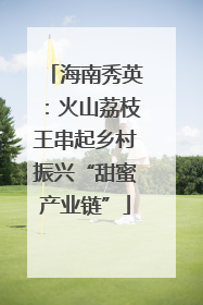 海南秀英：火山荔枝王串起乡村振兴“甜蜜产业链”