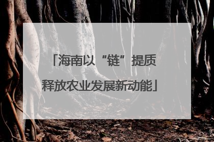 海南以“链”提质 释放农业发展新动能