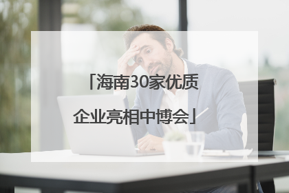 海南30家优质企业亮相中博会