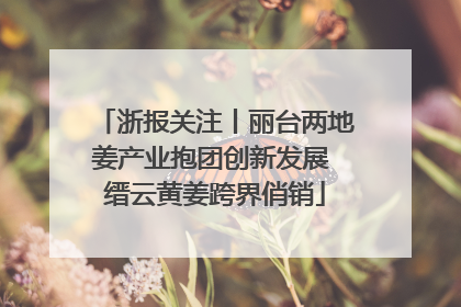 浙报关注丨丽台两地姜产业抱团创新发展 缙云黄姜跨界俏销
